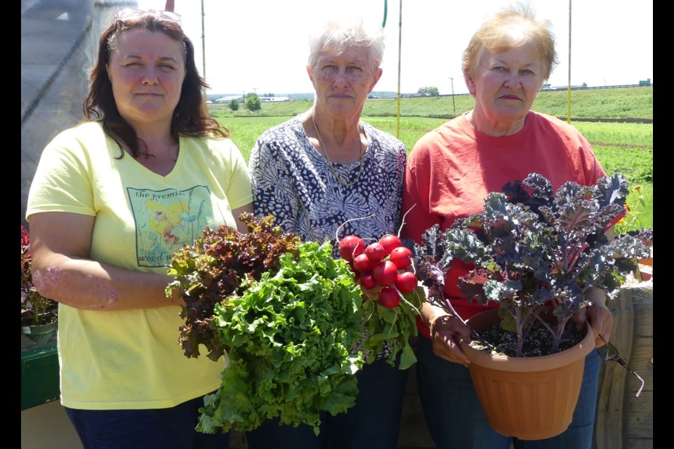 Liz Gorzo, left, who is running the Holland Marsh Food Market on Canal Road, is pictured with her mom, Julianna Gorzo, and aunt, Eva Szeman. Jenni Dunning/Bradford Today