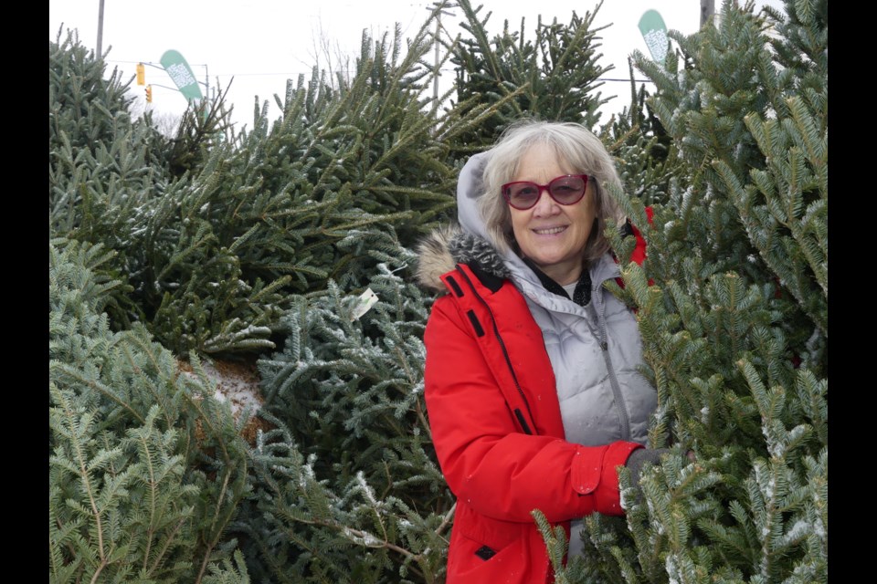 Rosemary Fraser said the most popular trees at Frasers Christmas Trees are fraser firs.  Jenni Dunning/BradfordToday