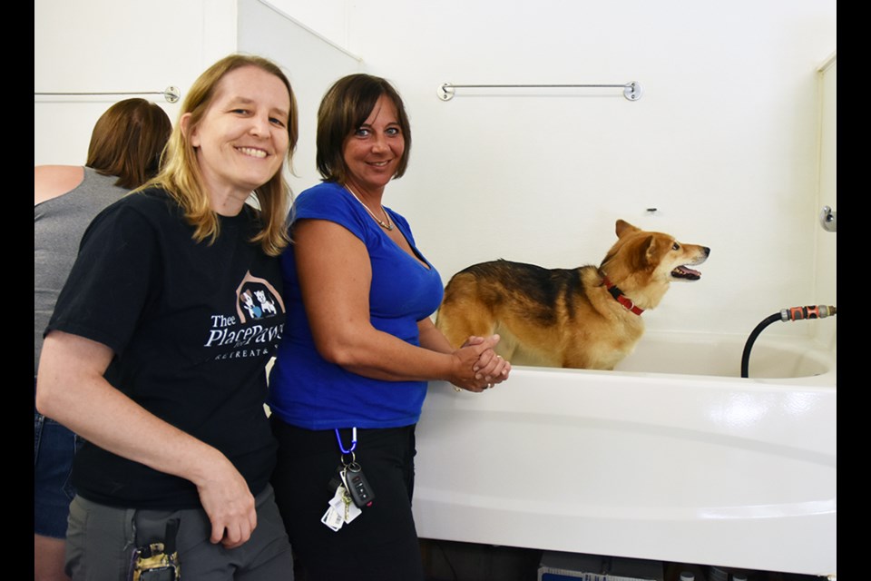 Sandy Berube of Thee Place for Dogs, with volunteer Tania, preparing to give Lilo a shampoo and wash, at the Charity Dog Wash, Aug. 11. Miriam King for BradfordToday