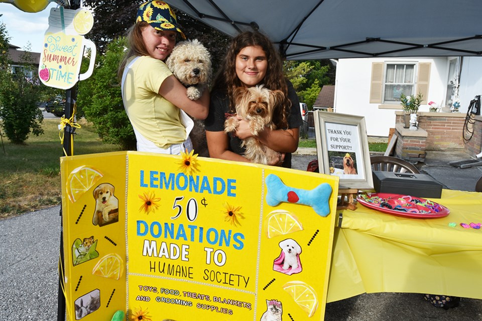 Raising money for dogs, cats and rabbits in the care of the Humane Society, Emma Assisi, left, with Bengie and Mirabelle Petch with Tessa at their lemonade stand. Miriam King/Bradford Today