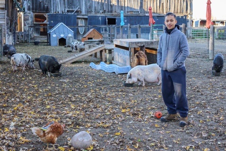 Brad Garrote watching over the animals at Wishing Well.