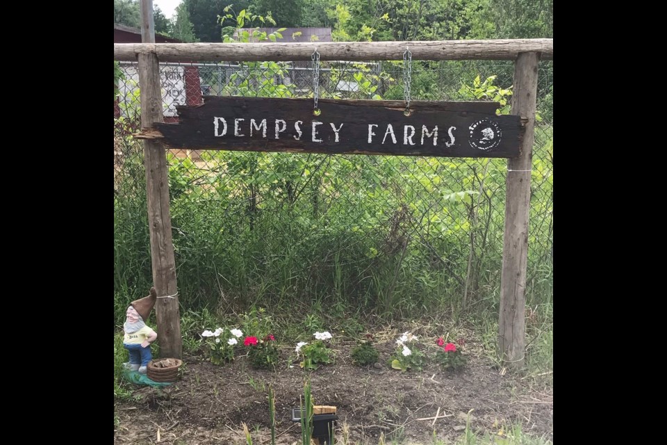 Dempsey Farms, Innisfil