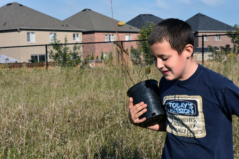 A student at Fieldcrest Elementary holds a tree sapling that will be planted as part of the school's ambitious Weed the North project. 