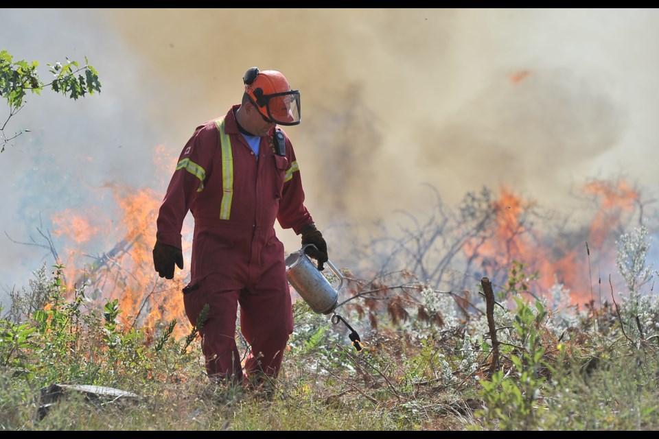 Expert sets a fire, in a controlled burn to remove invasive and non-native species from the Museum Tract forest lands, in September of 2018. Submitted photo 