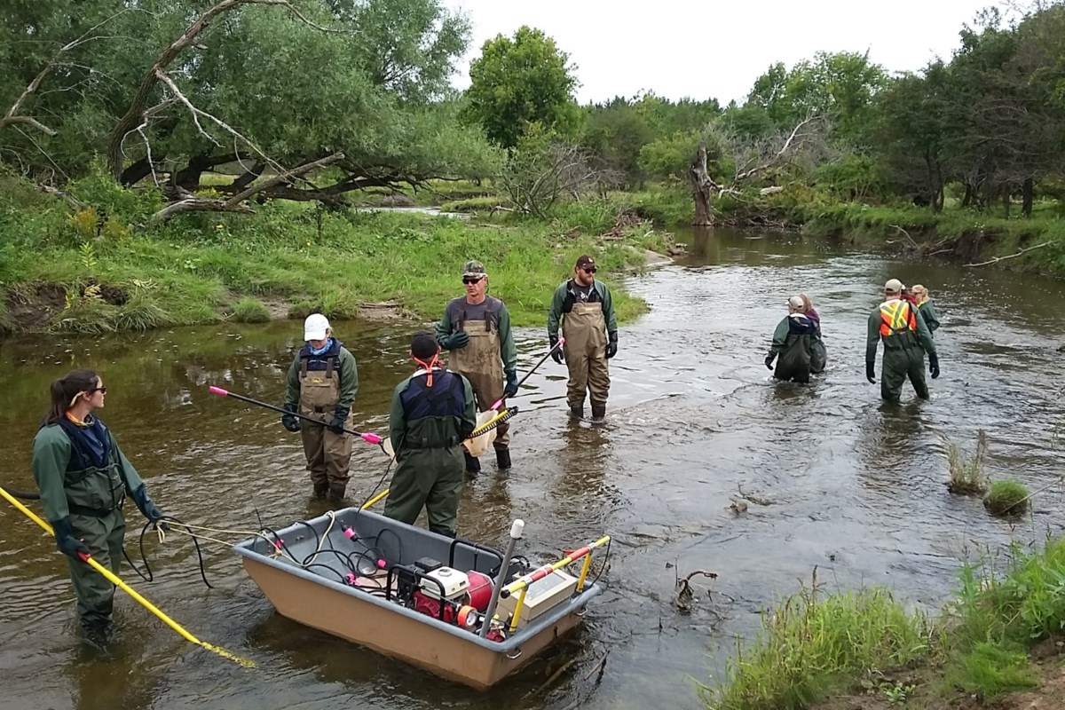 Partnership spawns improved water quality, trout habitat in Nottawasaga