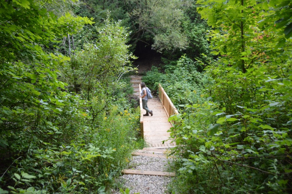 woman-on-a-boardwalk-in-petun-conservation-area