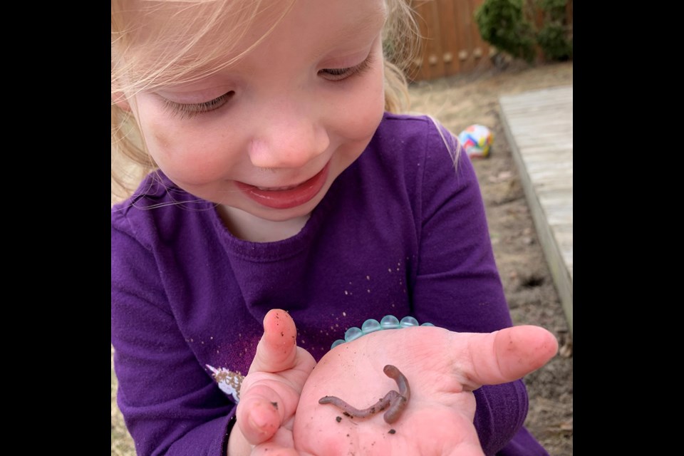 Earthworms appearing as the ground warms - another sign of spring. SUBMITTED