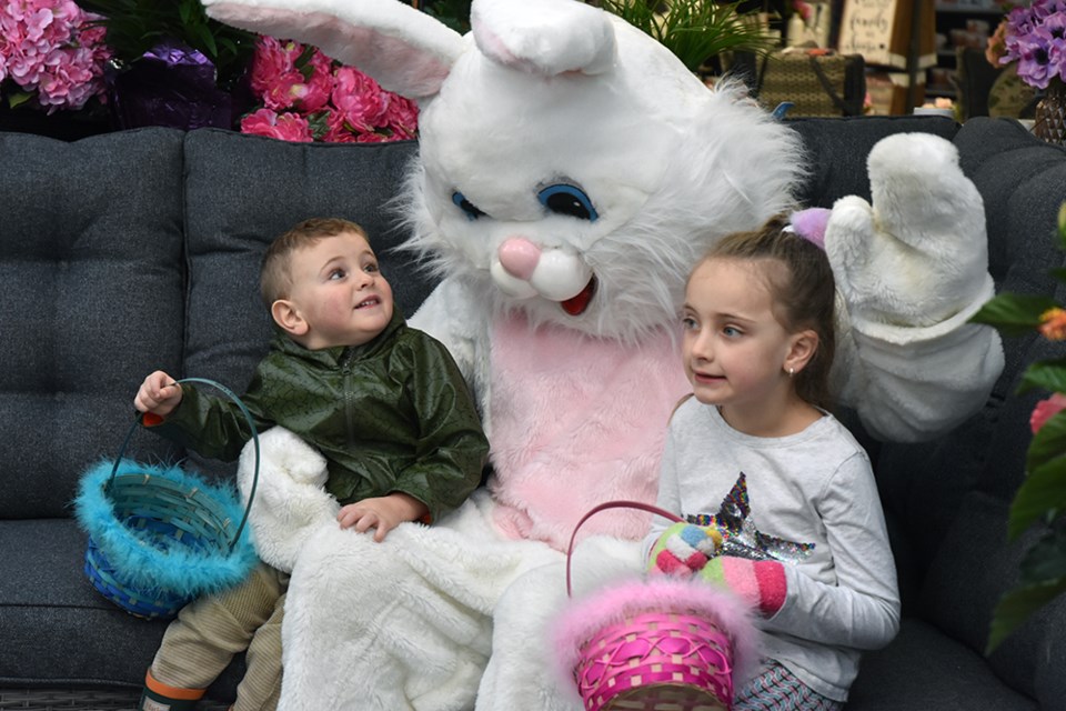 Meeting the Easter bunny at Bradford Greenhouses, just north of Bradford. Miriam King/Bradford Today