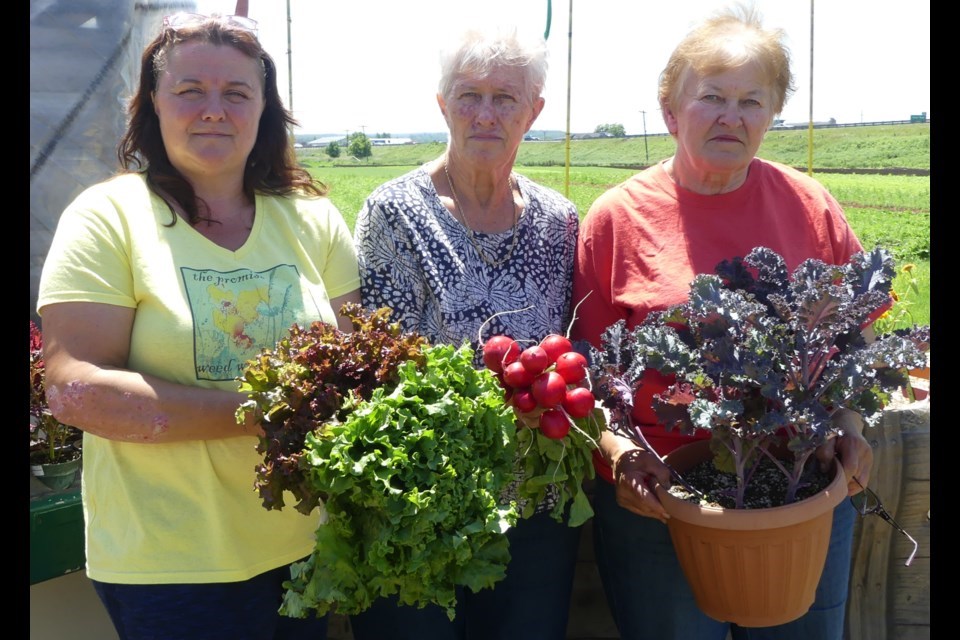 Liz Gorzo-Toffelmire (left), owner of Holland Marsh Food Market, with her mother Julianna Gorzo (middle) and aunt Eva Szeman. 