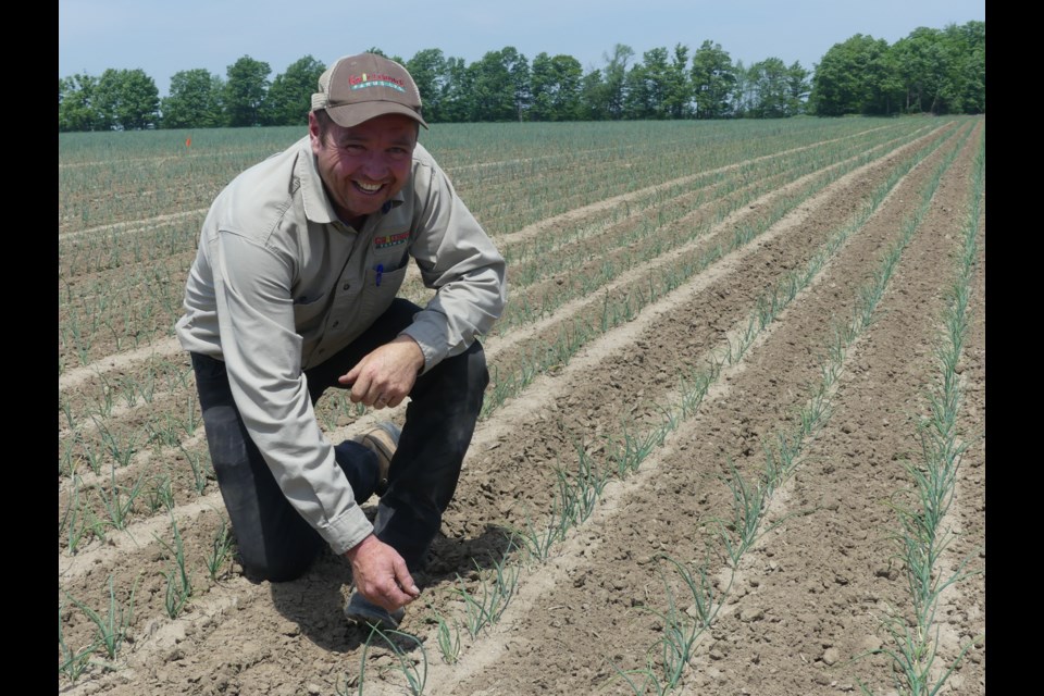 Gwillimdale Farms owner John Hambly is a fourth-generation farmer. Jenni Dunning/Bradford Today