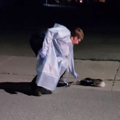 Craig, who declined to give his last name, helps a skunk get a Tim Hortons cup off its head. Twitter/Paramedics of OPSEU Local 303