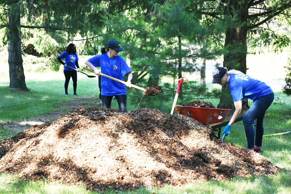 Team RBC volunteers spread wood chips on the trails through the Scanlon Creek Conservation Area arboretum, as part of a volunteer work day giving back to the community. Miriam King/Bradford Today