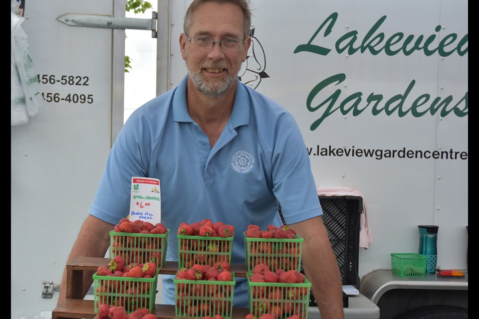 It’s the berries! Rob Radcliffe of Lakeview Gardens with fresh strawberries from Barrie Hill. Miriam King/Bradford Today