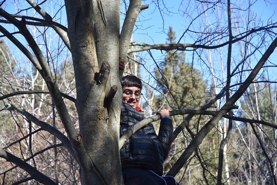 Climbing a tree was just part of testing 'physical literacy' in Scanlon's woods. Miriam King/Bradford Today
