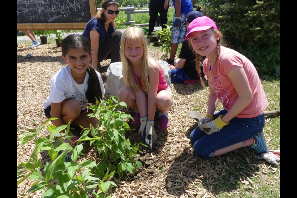 Kayla Tranton, 9, from left, Madison Lawless, 9, and Ilona Bardos, 9, plant a tree in their outdoor classroom. Jenni Dunning/Bradford Today
