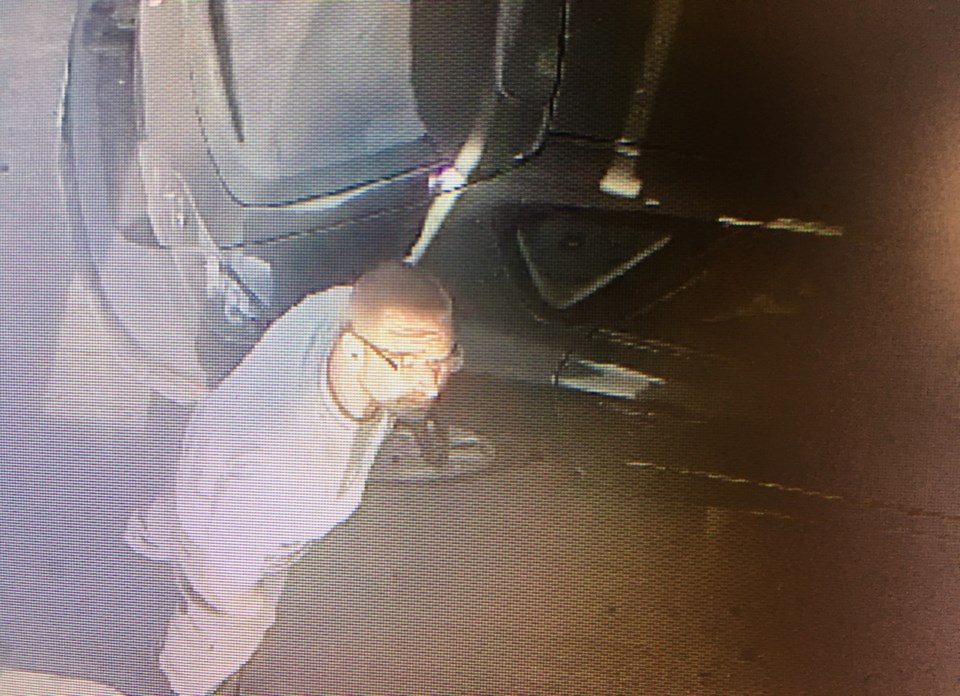 Gas Theft Suspect 1A