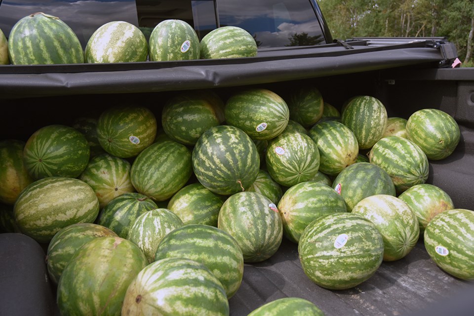 A total of 120 watermelons were brought to the BWG site, sliced, and served to over 400 Ahmadi women and girls at Sports Day. Miriam King/Bradford Today
