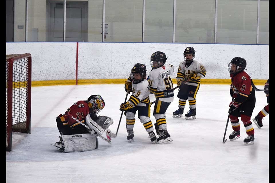Bradford Bulldogs Novice A team couldn't solve in Innisfil goalie in Game 4, at the BWG Leisure Centre on Feb. 21.  Miriam King/Bradford Today