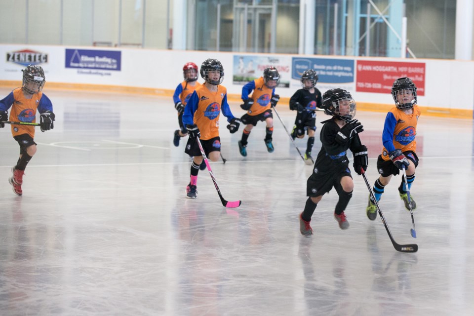 The South Simcoe Ball Hockey League's Bradford specific fall season is in doubt with no indoor facility.