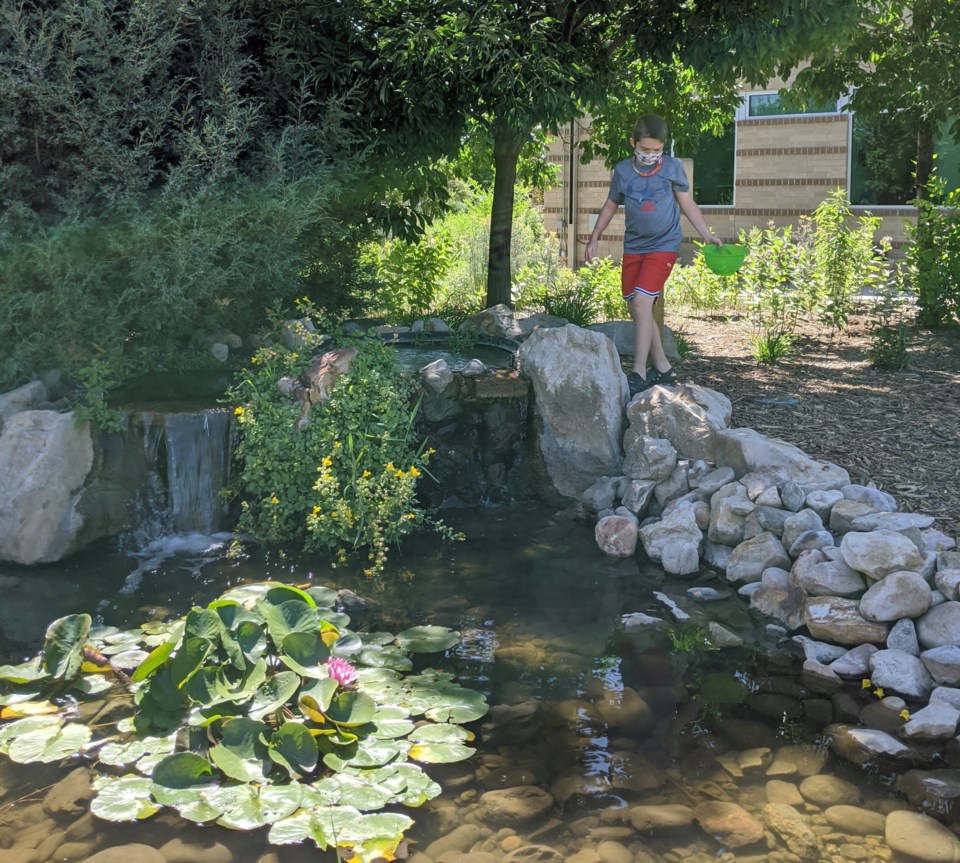 Child exploring in nature - outdoor education