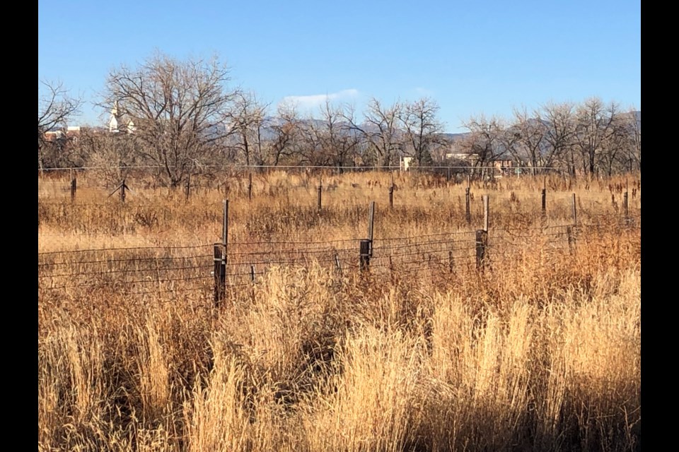 Parcel of land slated to include a 300-unit residential development located at West 120th Avenue and North Perry Street.