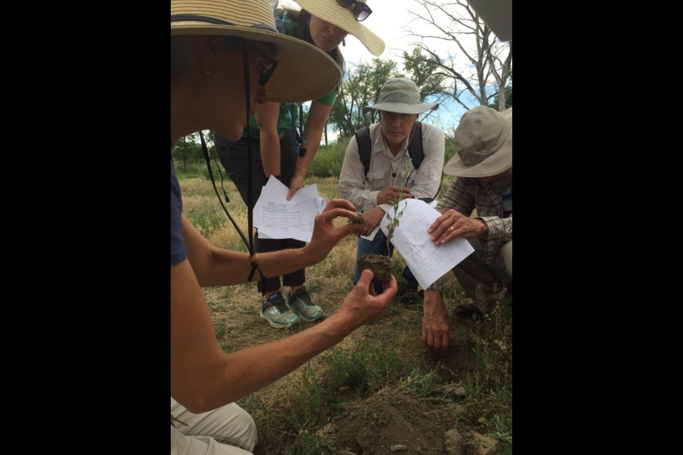 Soil health training