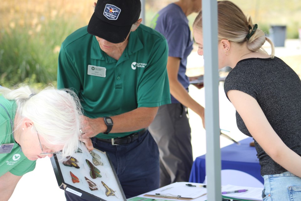 Broomfield Honey Bee Day, Aug. 20, 2022
