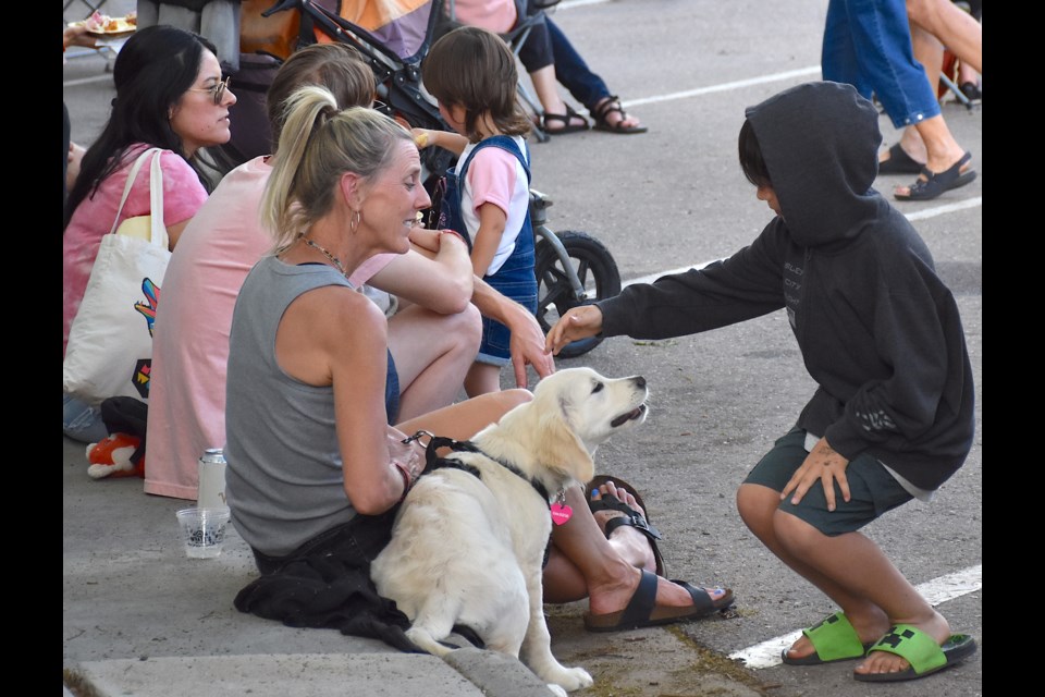 Pets and music lovers take in the Longmont Downtown Summer Concert series on Friday.