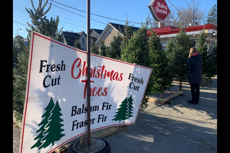 Still looking for your Christmas tree? Area growers are ready to help