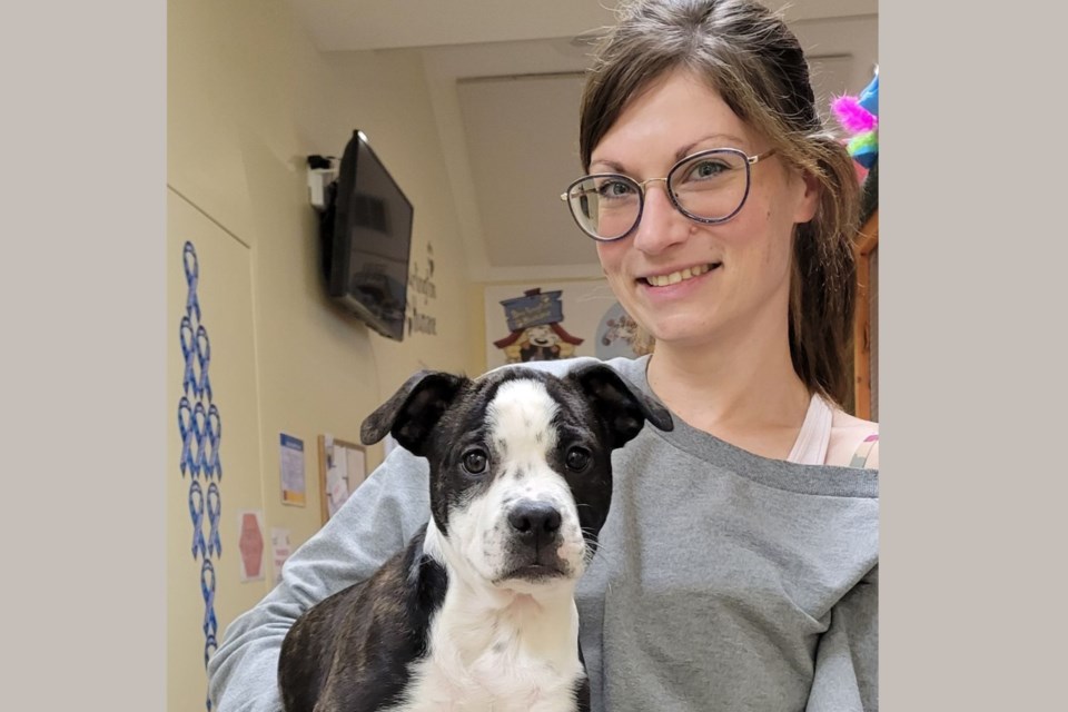 Burlington Humane Society suffering post-pandemic stress - Burlington News Burlington Humane Society suffering post-pandemic stress - Burlington News
