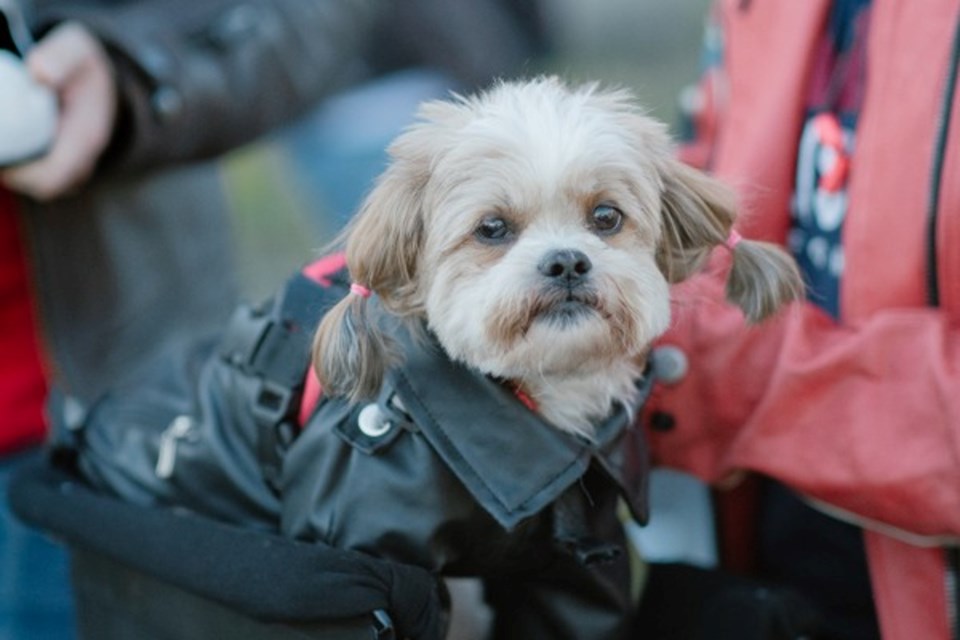 The Ruff Ride takes place Sept. 17 - leather jackets optional.