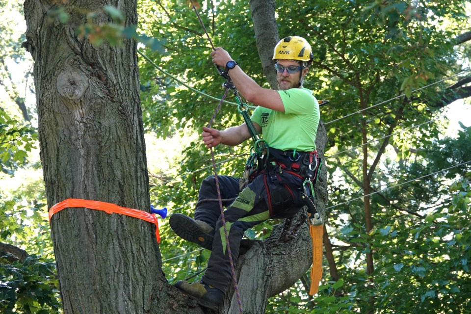 The Ontario Tree Climbing Championship took place Friday and Saturday (Sept. 15 and 16) at LaSalle Park. Here, Riley Marks from Burlington competes.