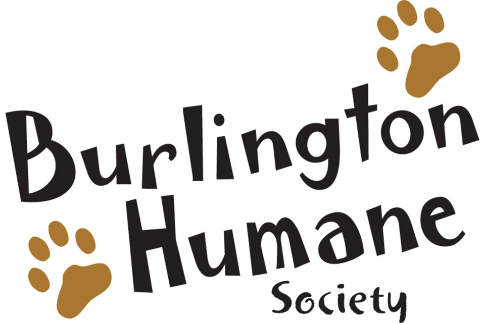 burlington-humane-society-logo