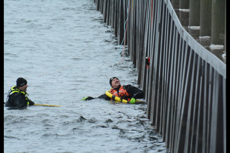 Halton and Hamilton police officers worked to pull a man from the water at Spencer Smith Park Dec. 27.