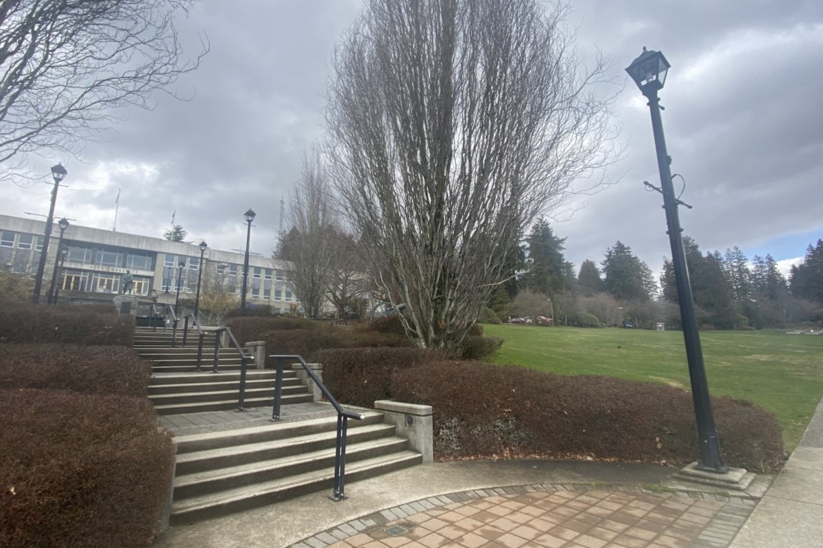 What is New Westminster council doing to the city hall lawn? New West
