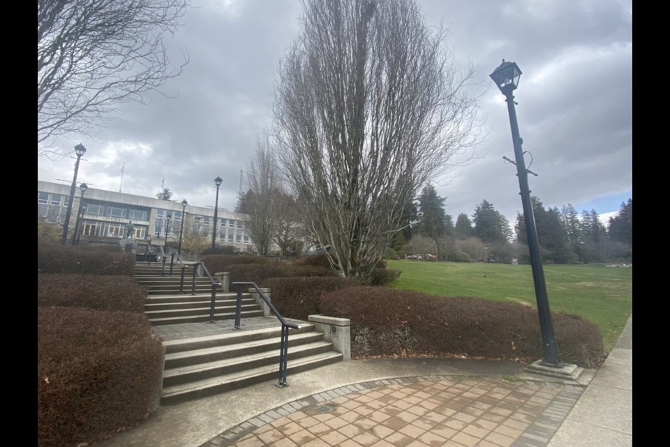 Up to 60 new trees will be planted on the front lawn of New Westminster City Hall.