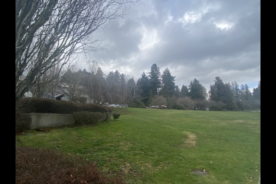 Planting of 60 trees on the lawn of city hall will help New Westminster meet its goal of increasing the urban tree canopy.