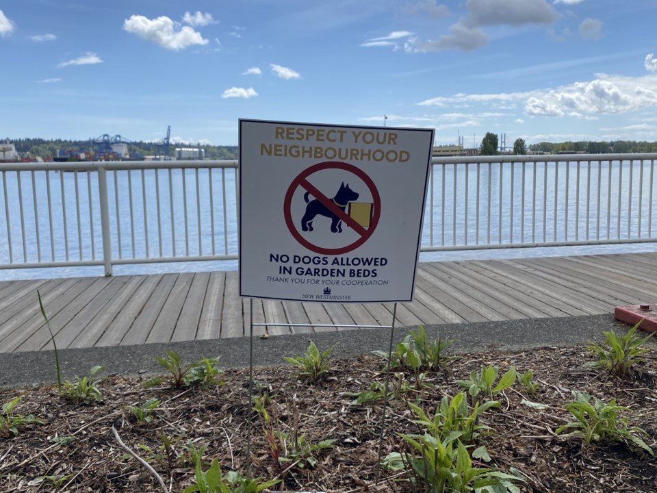 Dog signage1