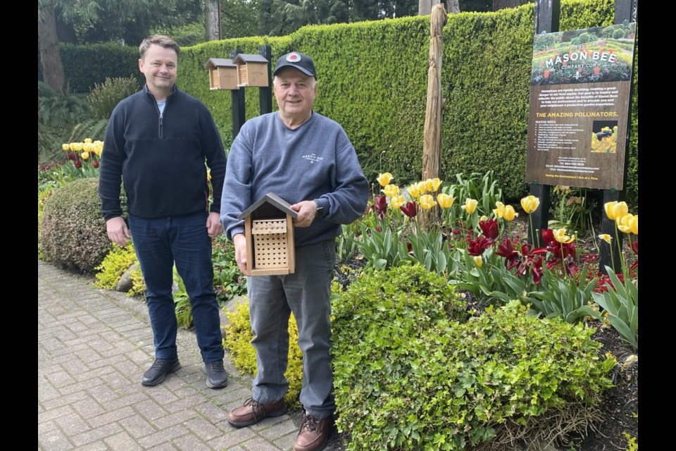 City employee Dan Jokic, left, and Werner Klann of the Mason Bee Company  recently checked in on the mason bee house in the Queen's Park rose garden.