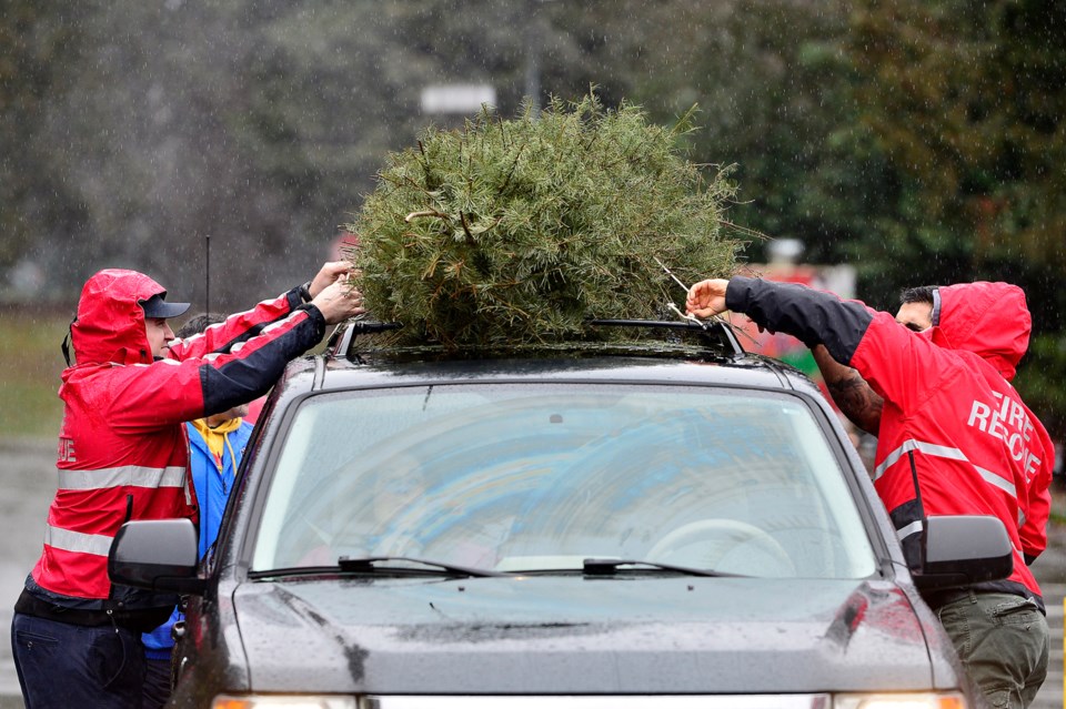 tree-chipping-2023-2