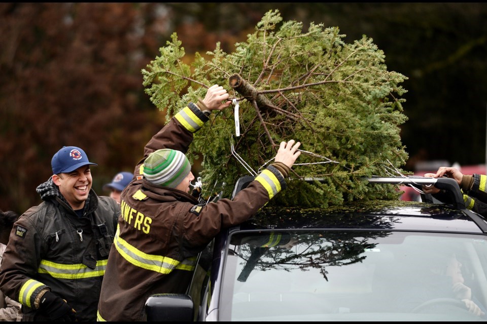 tree-chipping-file-2018