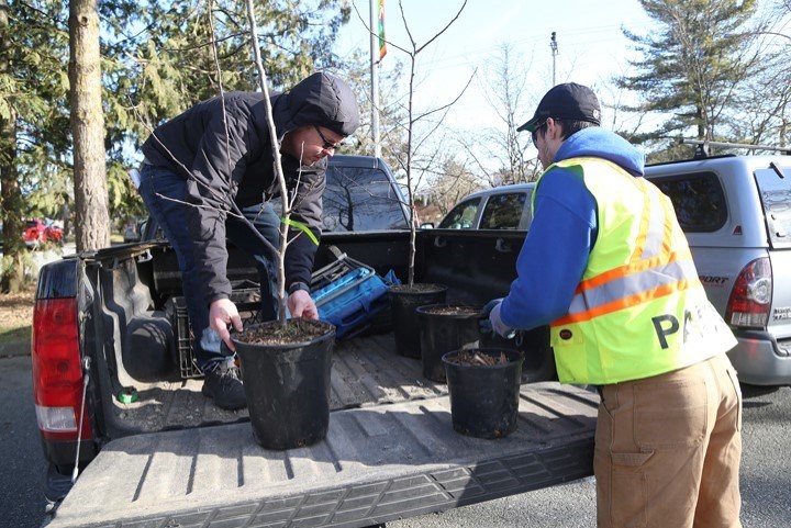 Tree Sale spring 2021