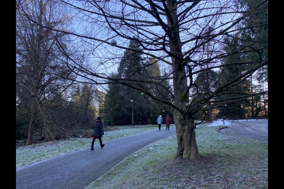 Pedestrians walk along the Millennium Trail in Queen's Park, next to a tree that local residents are decorating daily.