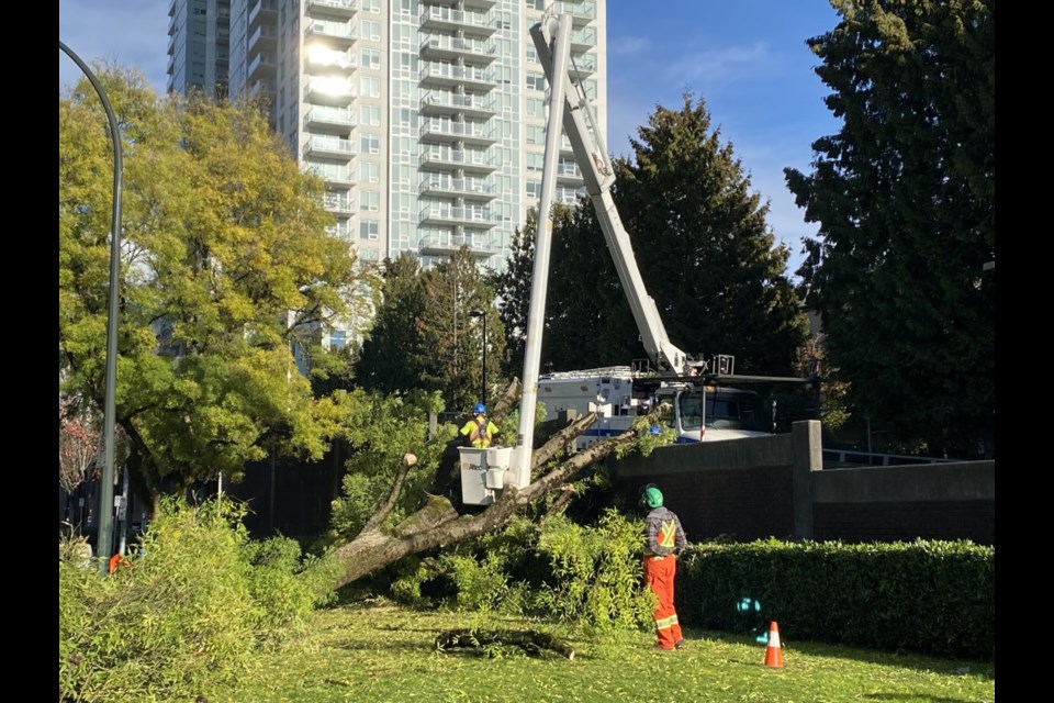 Crews work to remove a tree that fell on the McInnes Street overpass on Friday night.