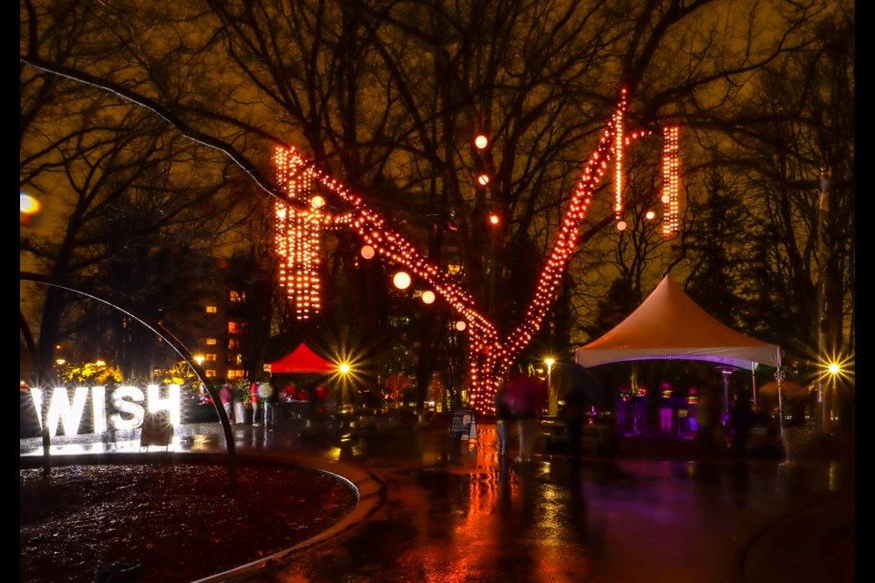 Pretty lights: Wishing in the Park is taking  place at Moody Park on Friday, Jan 26.
