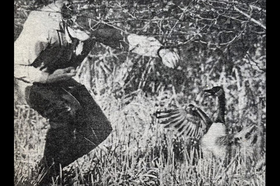 Canada goose return deals policy history