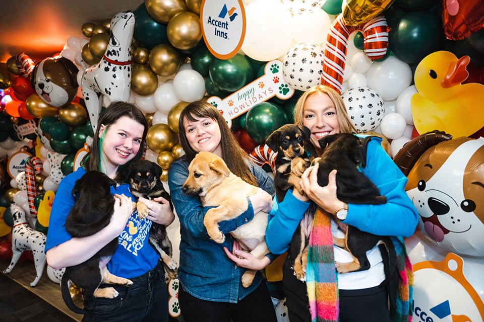 The "Howlidays" are here and Burnaby's Accent Inns (3777 Henning Dr.) is hosting a puppy playdate tour on Dec. 7, 2023, to raise animal welfare awareness.