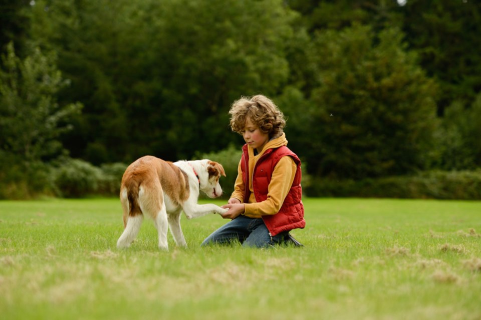 Child and dog