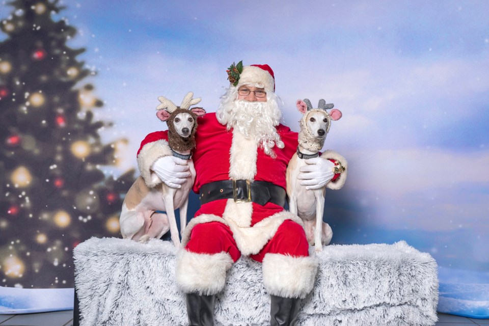 People brought their dogs to have photos taken with Santa. 