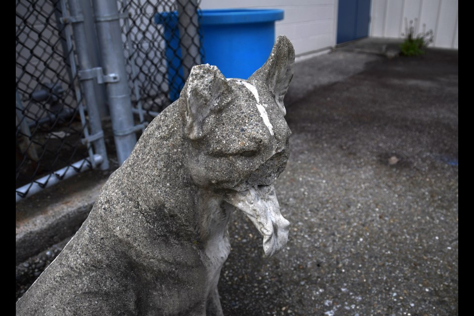 A battered cement dog keeps rodents from chewing the wiring of vehicles at a Burnaby daycare.